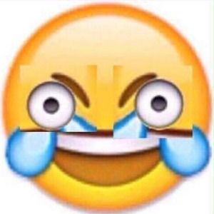 Meet your Posher, Sita